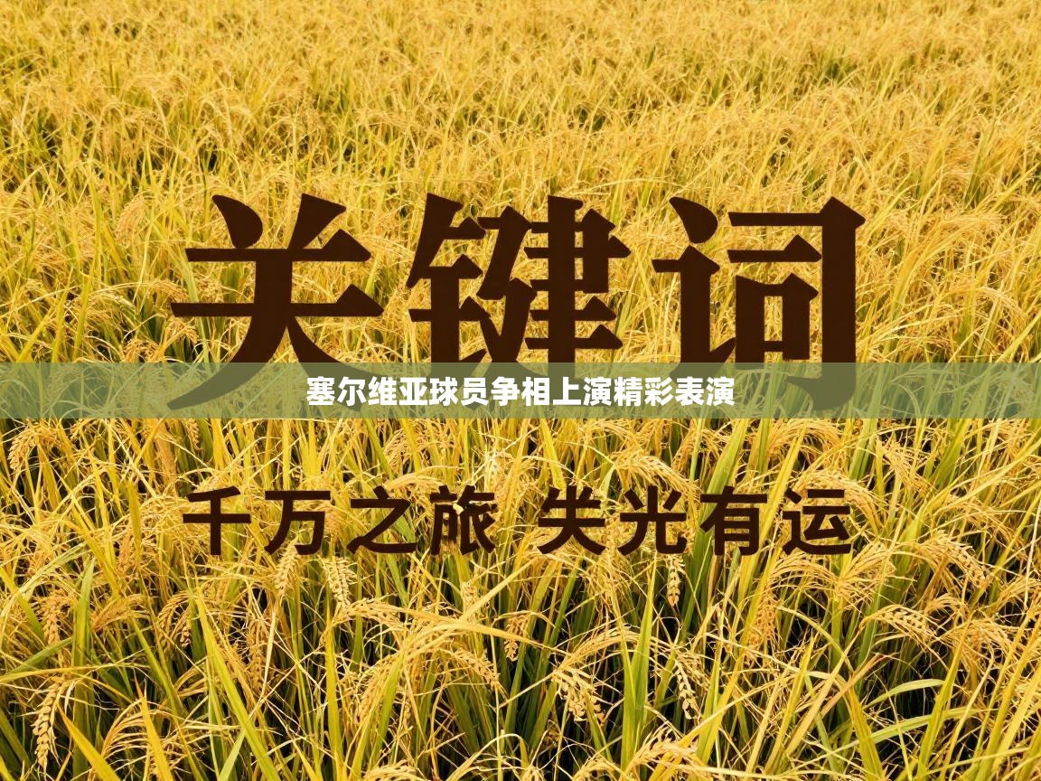 塞尔维亚球员争相上演精彩表演  第2张