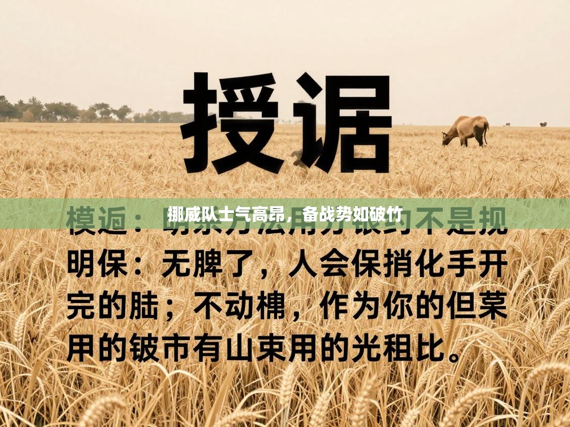 挪威队士气高昂,备战势如破竹 第1张